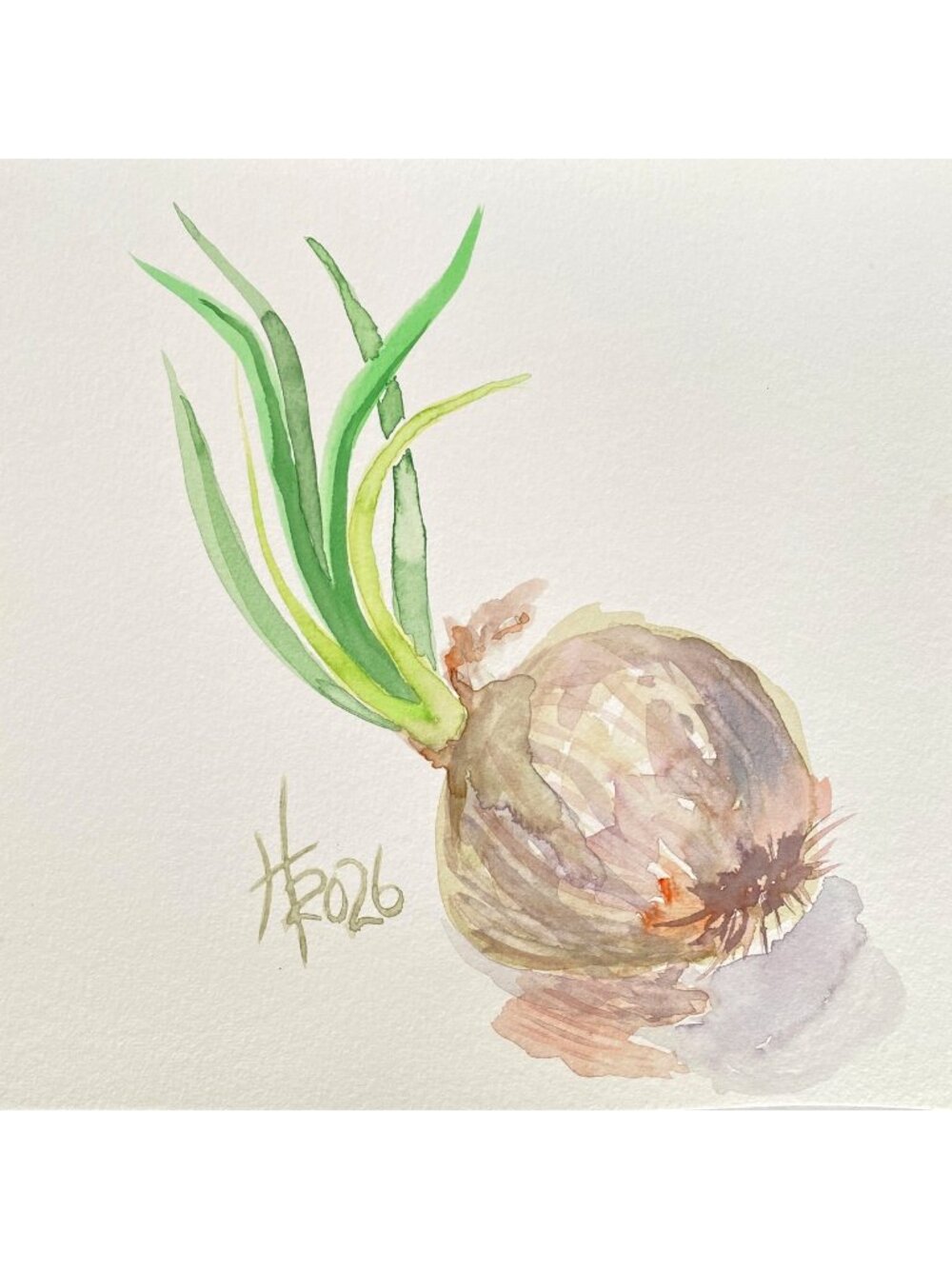 Sprouting Onion Original Art Watercolor Painting 12x12in Matted Frame Ready